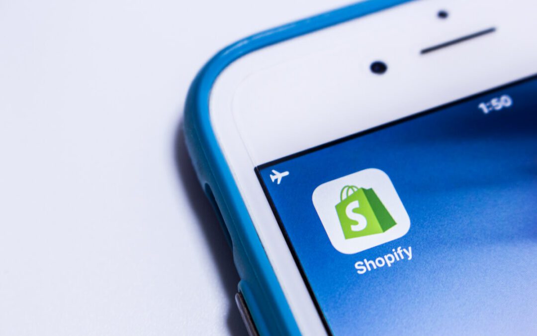 Secure Your Store With the Ultimate Shopify Insurance Guide (2023)